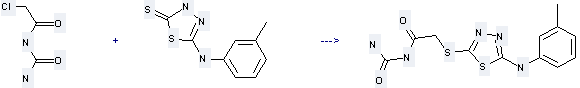 5-[(3-Methylphenyl)amino]-3H-1, 3, 4-thiadiazole-2-thione can react with Chloroacetyl-urea to get [(5-m-Tolylamino-[1, 3, 4]thiadiazol-2-ylsulfanyl)-acetyl]-urea.